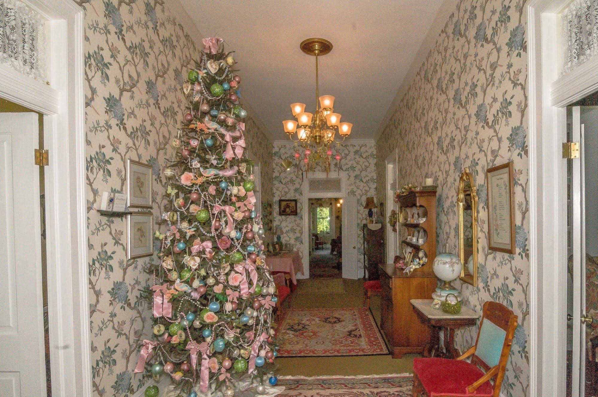 Holly House Of Bed and breakfast Hamilton